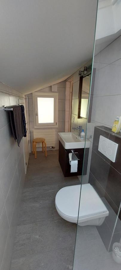 Sunnmaetteli Apartment Wilderswil